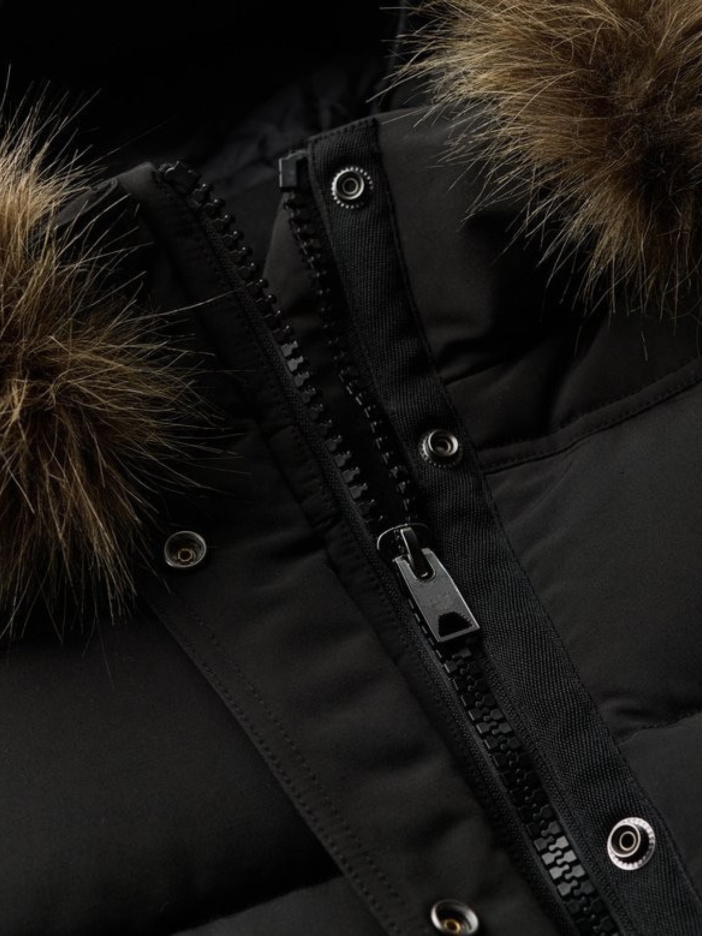Everest Winter Coat